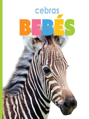 cover image of cebras bebés